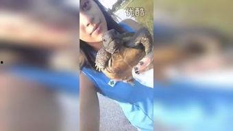 贱女孩在线观看视频