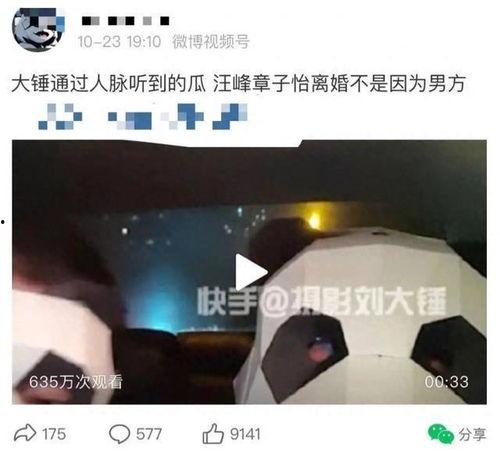 刘大锤爆料猛料被骂视频,真相与争议